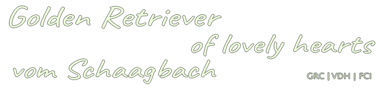 logo2026 of lovely hearts